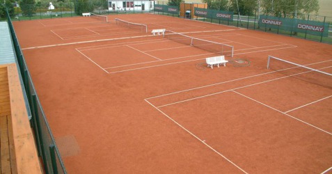 Tenis