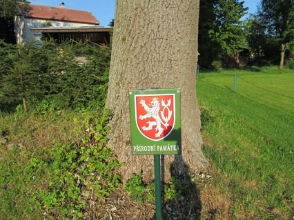 Okolí